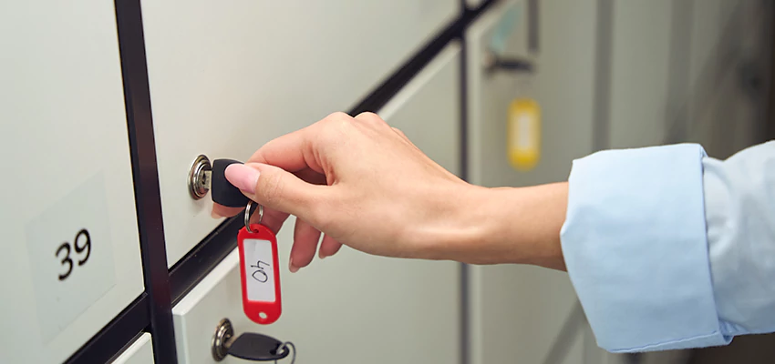 Cabinet Lock Installation in Roseland, California